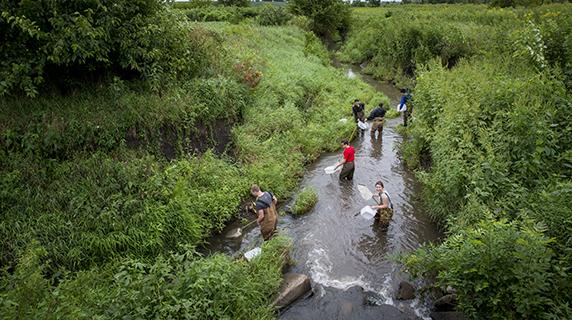 Students collect samples in creek 