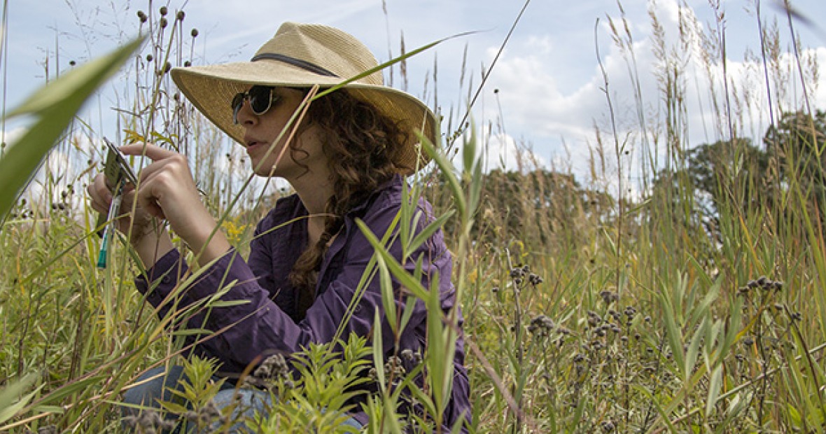 Taking measurements in Conard Environmental Research Area