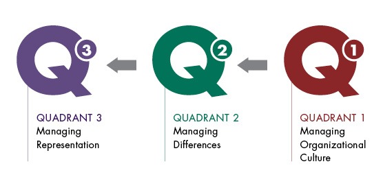 Quadrant 1, managing organizational culture, to quadrant 2, managing differences, to quadrant 3 managing representation