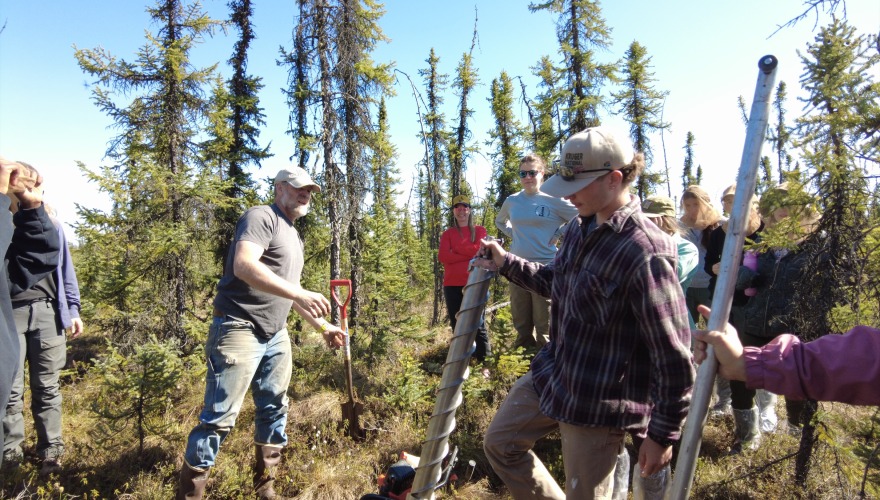 Amidst pine trees, scientists in hiking gear use a large drill to remove a soil core from the ground.