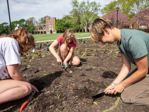 prairie planting