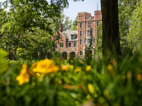 Gates Tower with grass and yellow flowers in foreground