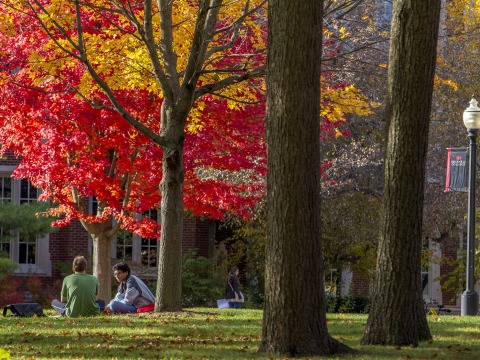 red and yellow fall trees on Grinnell College Campus 