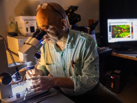A black man with glasses resting atop his head peers through a microscope in a dark room.