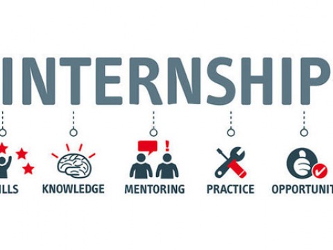 Internship: goal, skills, knowledge, mentoring, practice, opportunity, training