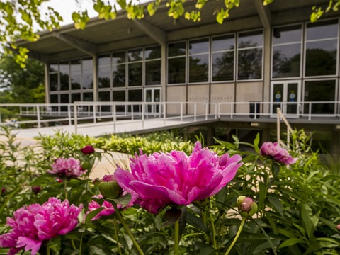 Grinnell College Homepage