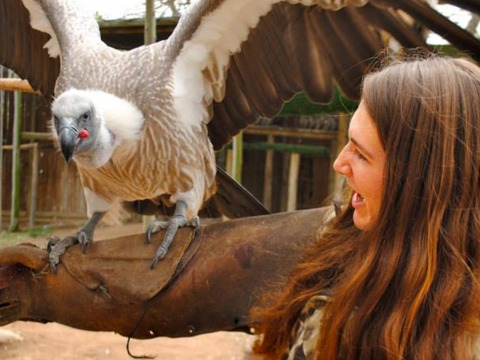 Grinnell College Homepage