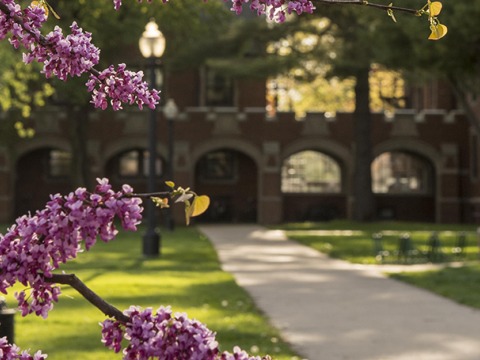 Grinnell College Homepage