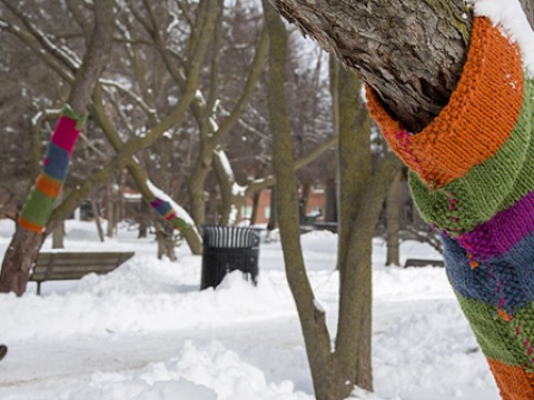 Grinnell College Homepage