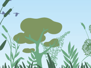 Illustration of wetland plants with birds in flight in the background